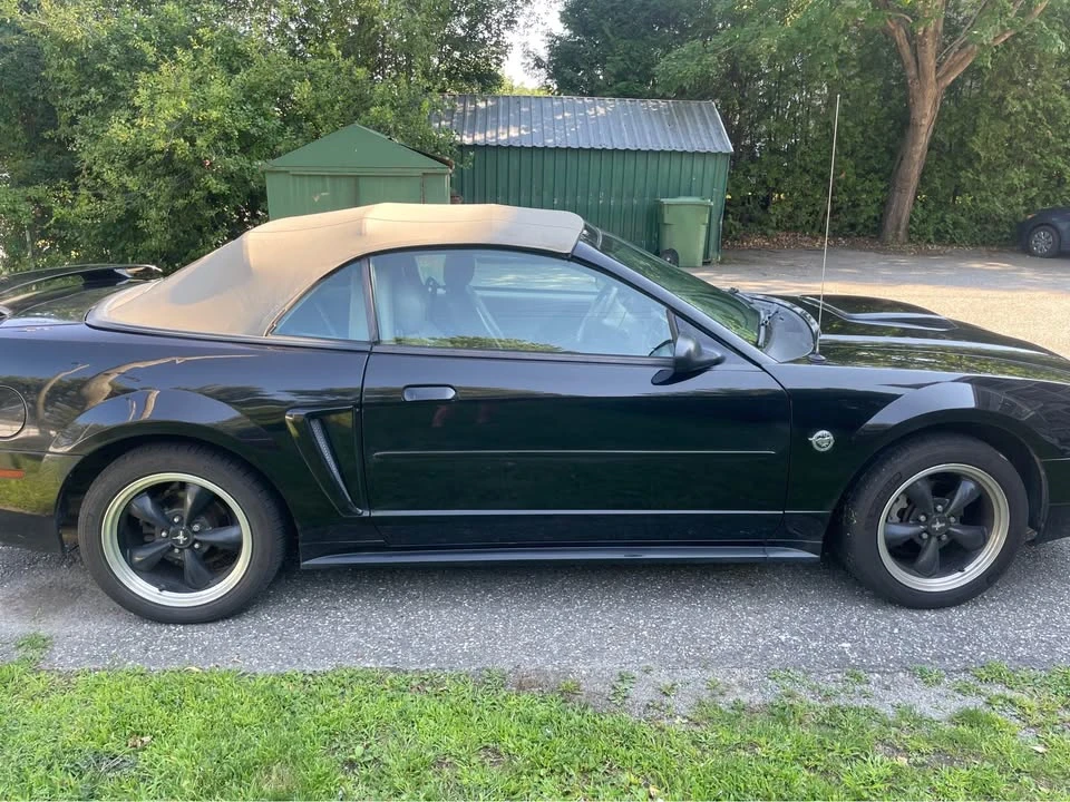 2004 Ford SN95 Mustang - Image 5 of 7
