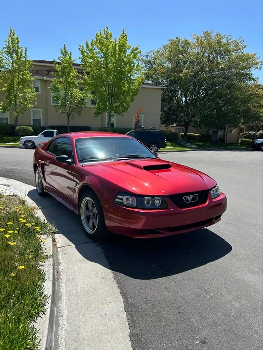 2004 Ford SN95 Mustang - Image 8 of 9