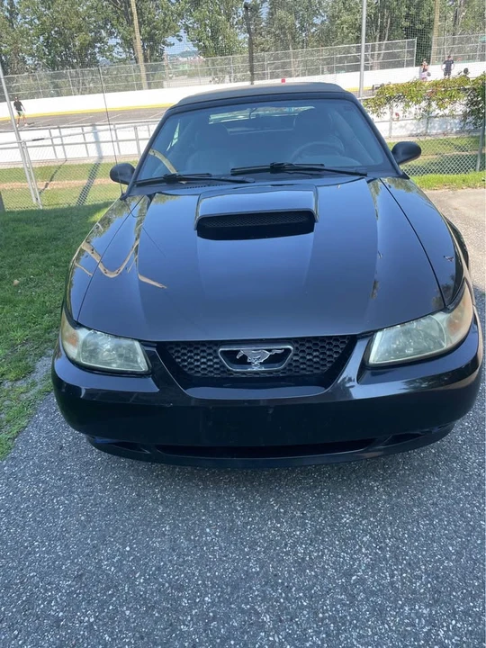 2004 Ford SN95 Mustang - Image 2 of 7