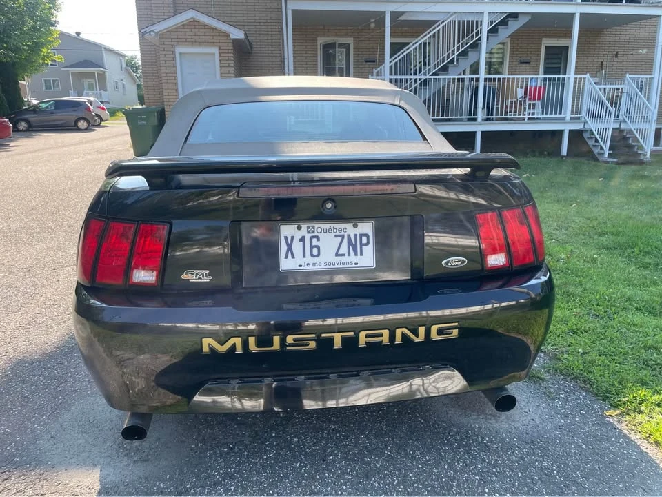 2004 Ford SN95 Mustang - Image 4 of 7