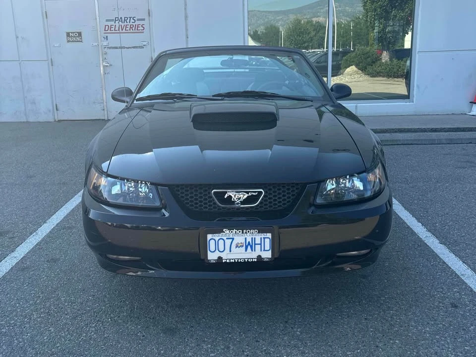 2004 Ford SN95 Mustang - Image 2 of 5