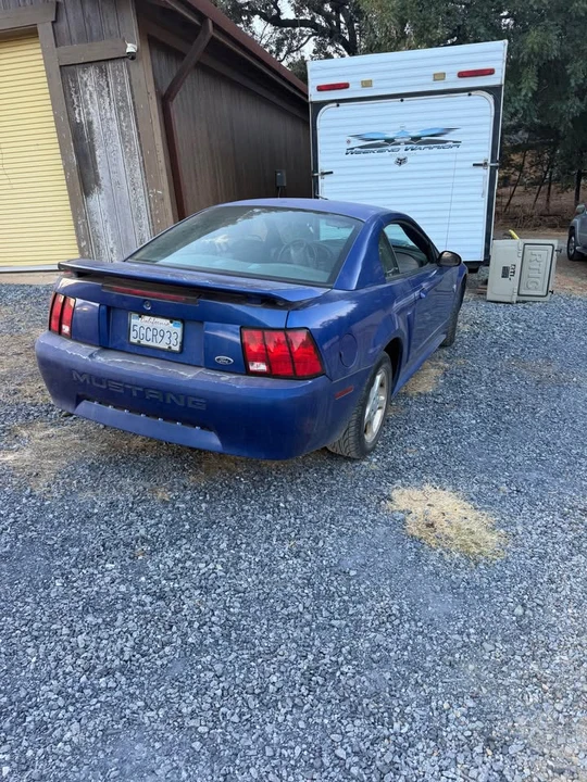 2004 Ford SN95 Mustang - Image 3 of 6