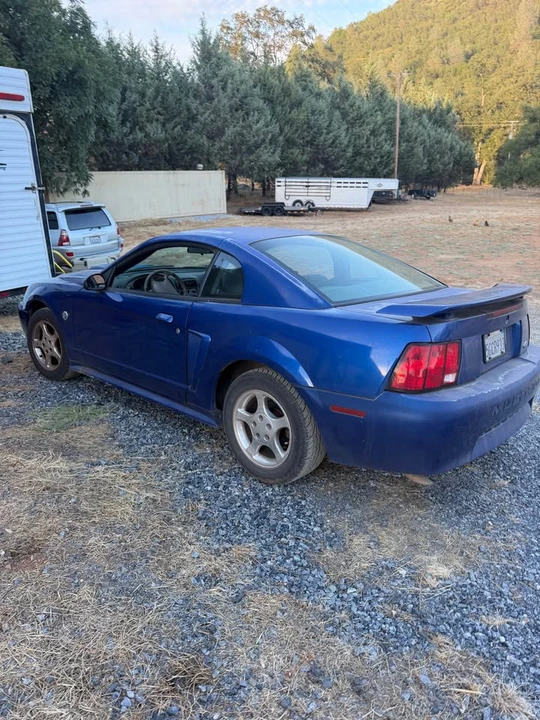 2004 Ford SN95 Mustang - Image 4 of 6