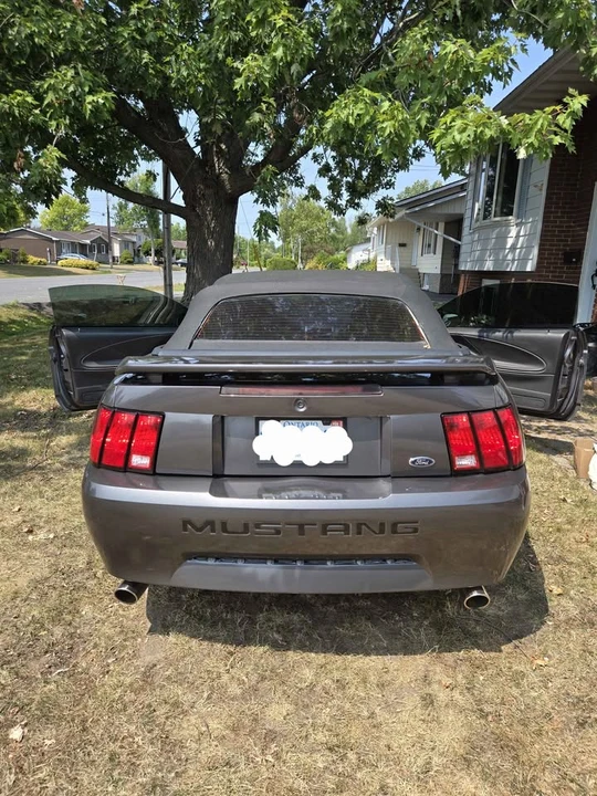 2004 Ford SN95 Mustang - Image 8 of 10