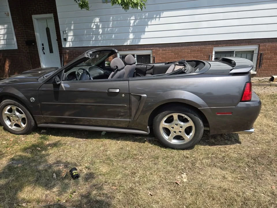 2004 Ford SN95 Mustang - Image 10 of 10