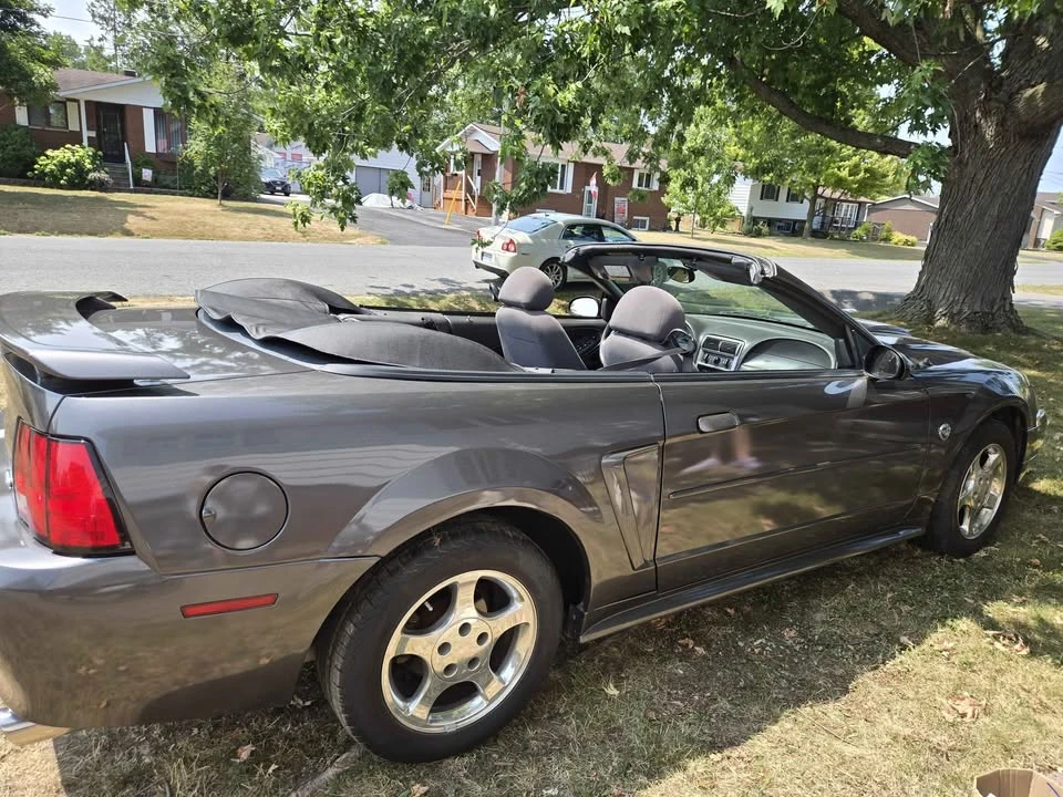 2004 Ford SN95 Mustang - Image 2 of 10