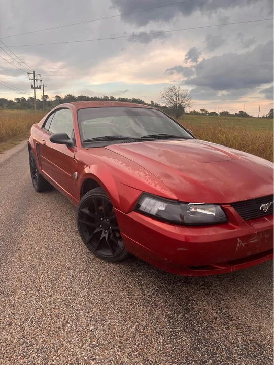 2004 Ford SN95 Mustang - Image 8 of 8