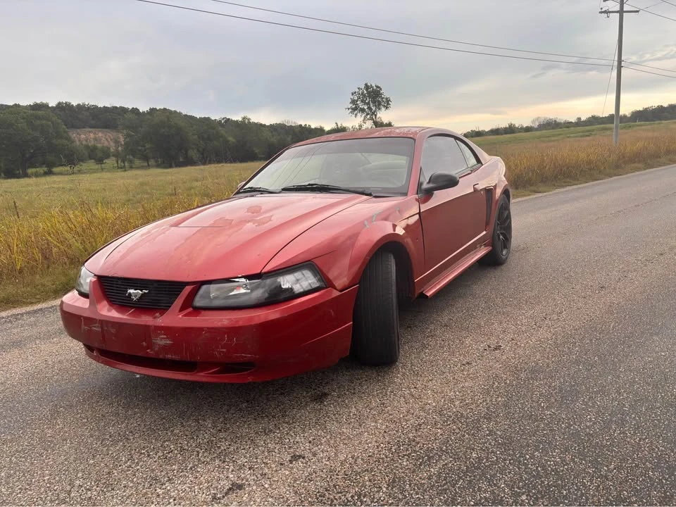 2004 Ford SN95 Mustang - Image 5 of 8