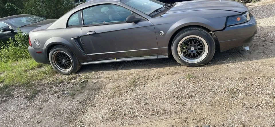 2004 Ford SN95 Mustang - Image 2 of 4