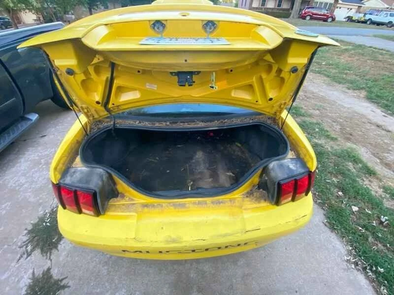 2004 Ford SN95 Mustang - Image 6 of 6