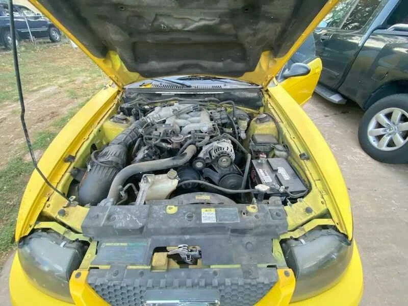 2004 Ford SN95 Mustang - Image 3 of 6