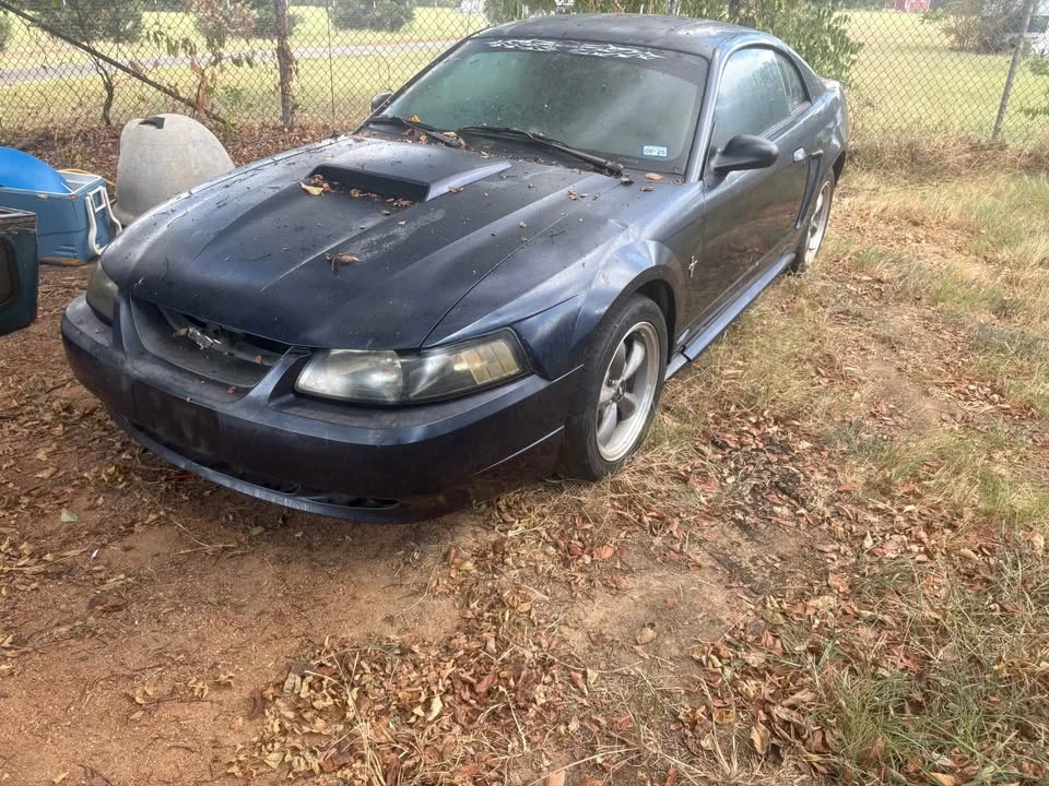 2004 Ford SN95 Mustang - Image 2 of 7