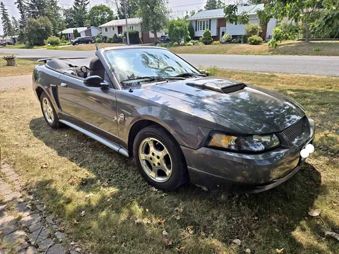 2004 Ford Mustang Convertible
