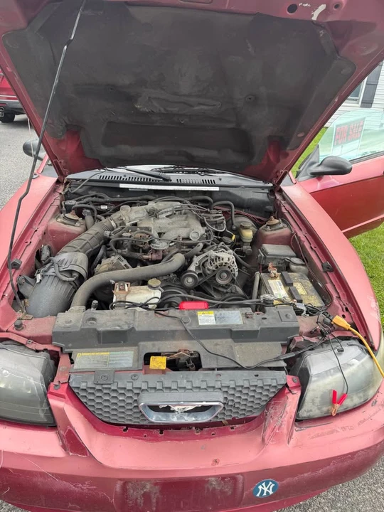 2004 Ford SN95 Mustang - Image 10 of 11