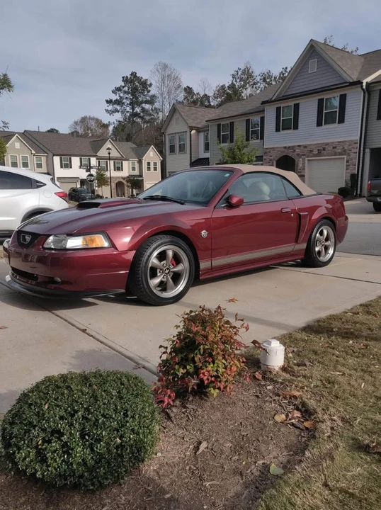 2004 Ford SN95 Mustang - Image 2 of 7