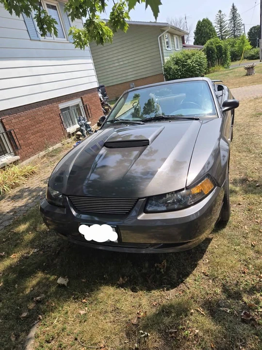 2004 Ford SN95 Mustang - Image 3 of 10