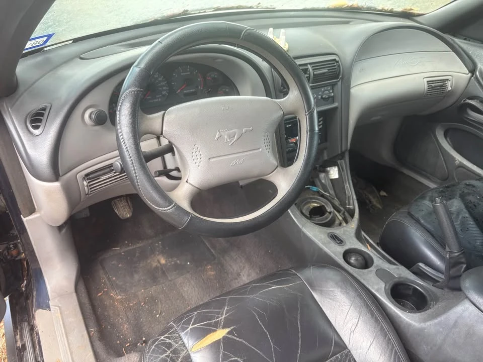 2004 Ford SN95 Mustang - Image 5 of 7
