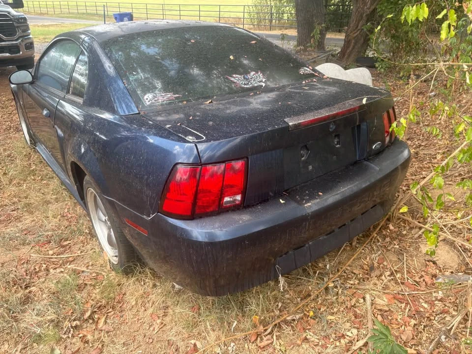 2004 Ford SN95 Mustang - Image 3 of 7