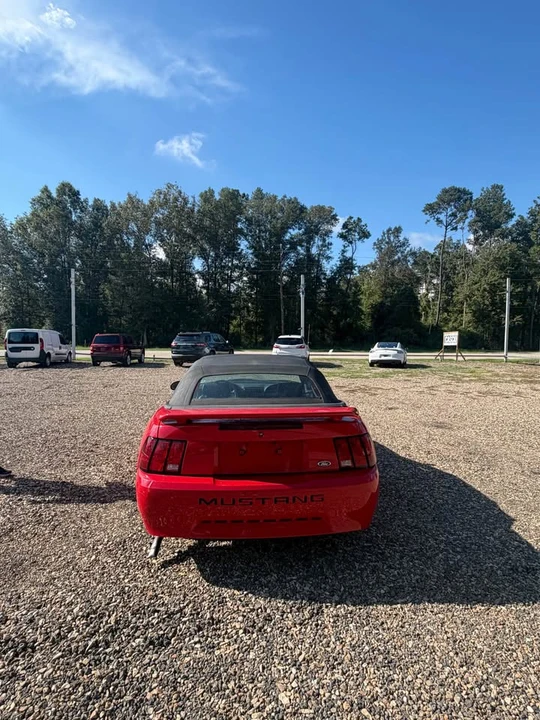2004 Ford SN95 Mustang - Image 6 of 7