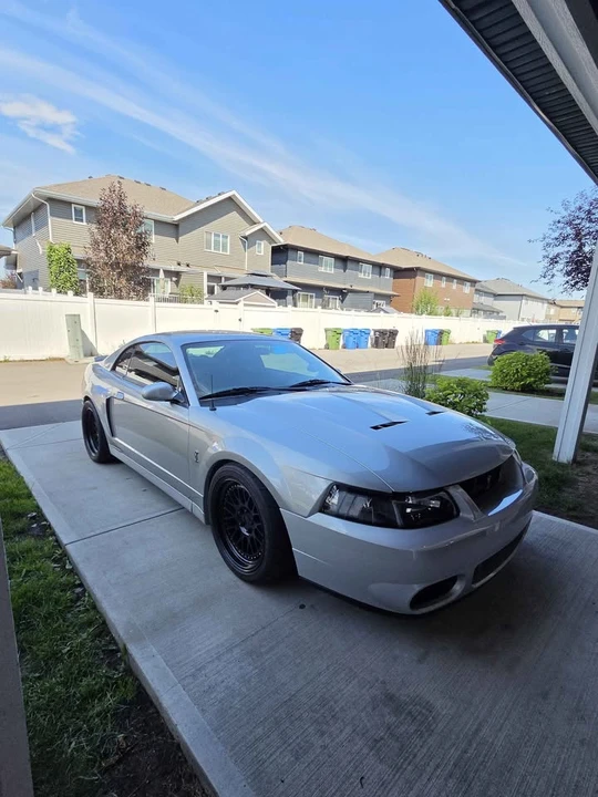 2004 Ford SN95 Mustang - Image 3 of 20