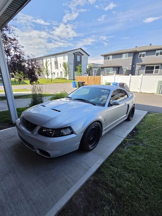 2004 Ford SN95 Mustang - Image 2 of 20