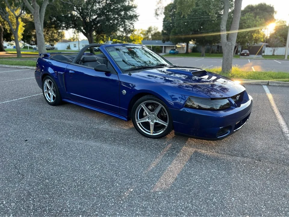 2004 Ford SN95 Mustang - Image 6 of 16