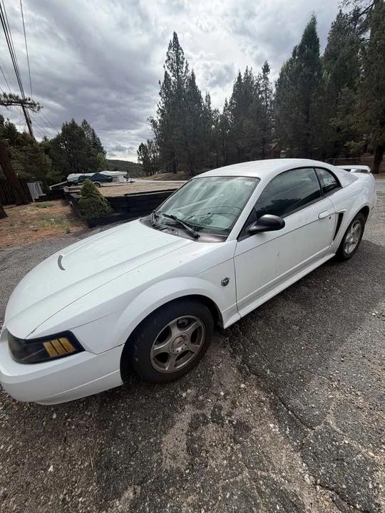 2004 Ford SN95 Mustang - Image 5 of 8