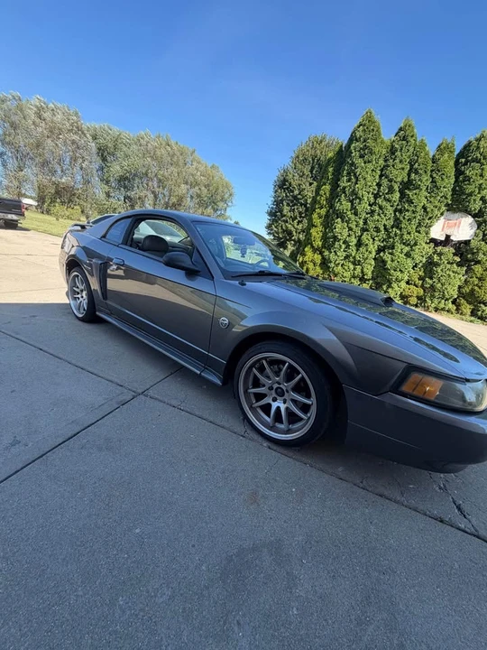 2004 Ford SN95 Mustang - Image 3 of 8