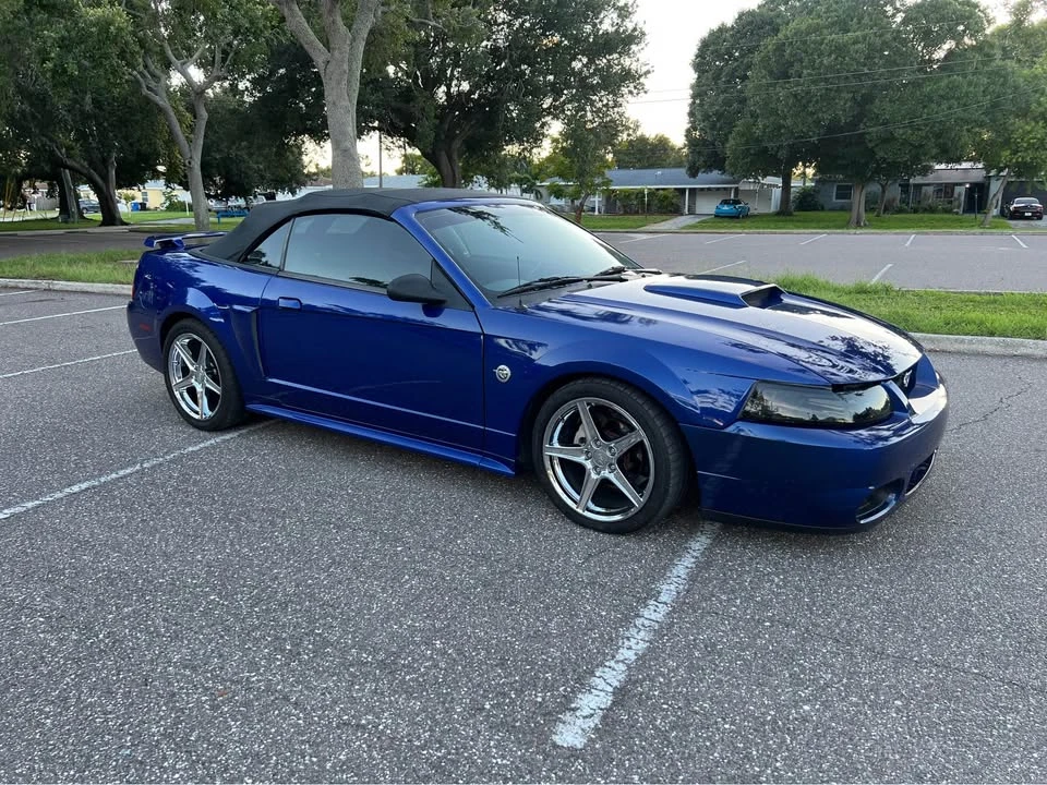 2004 Ford SN95 Mustang - Image 15 of 16