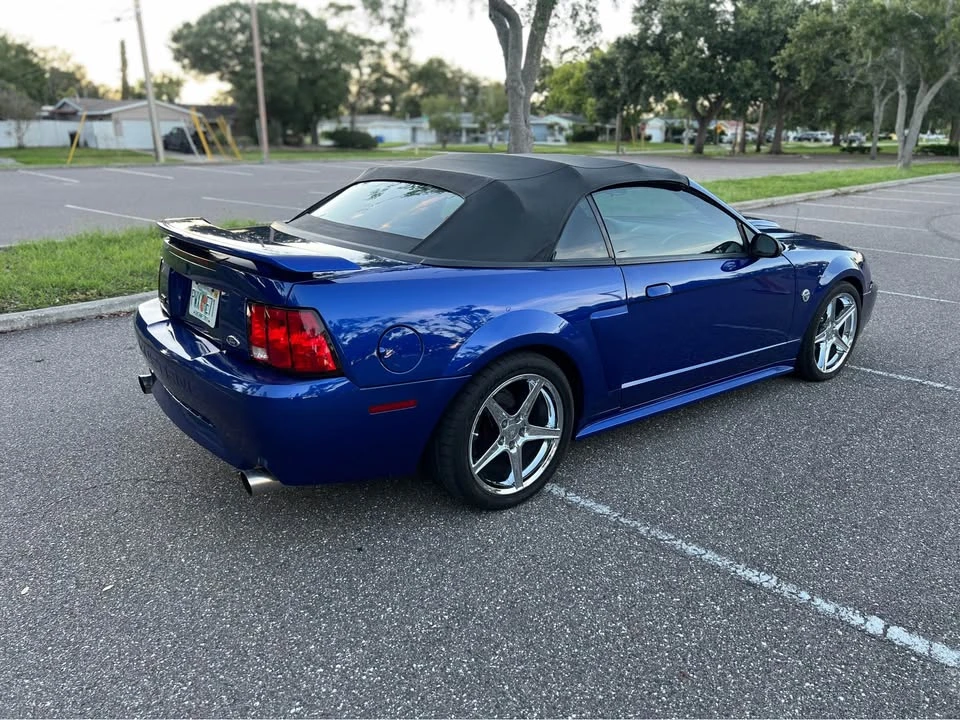 2004 Ford SN95 Mustang - Image 14 of 16