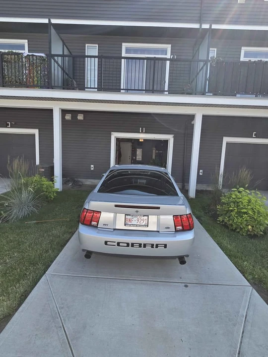 2004 Ford SN95 Mustang - Image 6 of 20