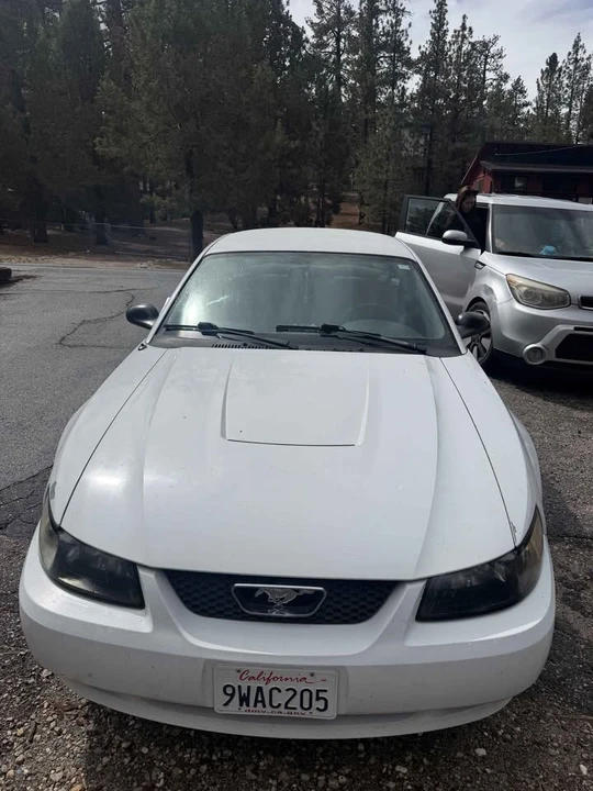 2004 Ford SN95 Mustang - Image 6 of 10