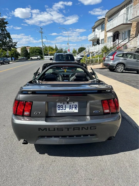 2004 Ford SN95 Mustang - Image 5 of 19