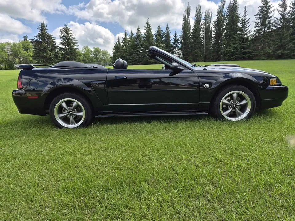 2004 Ford SN95 Mustang - Image 2 of 7