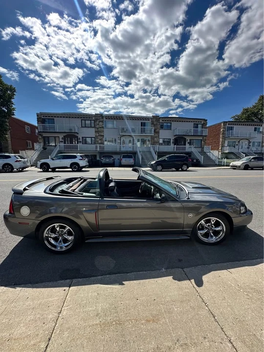 2004 Ford SN95 Mustang - Image 2 of 19