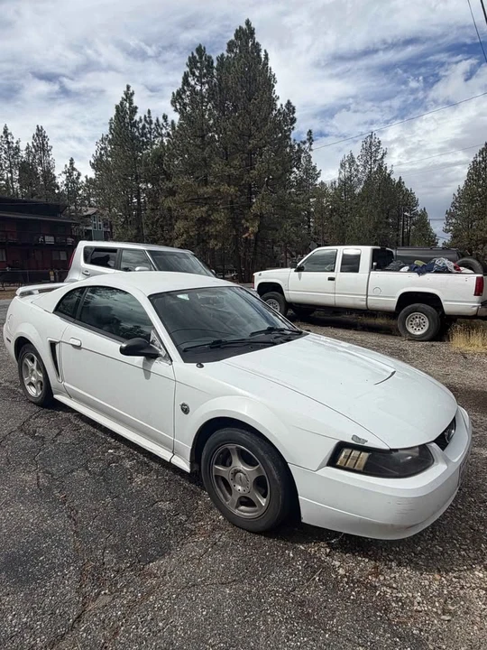 2004 Ford SN95 Mustang - Image 5 of 10