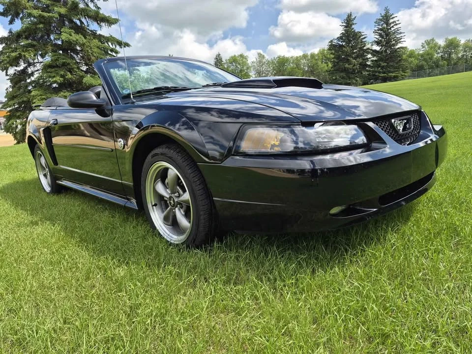 2004 Ford SN95 Mustang - Image 6 of 7