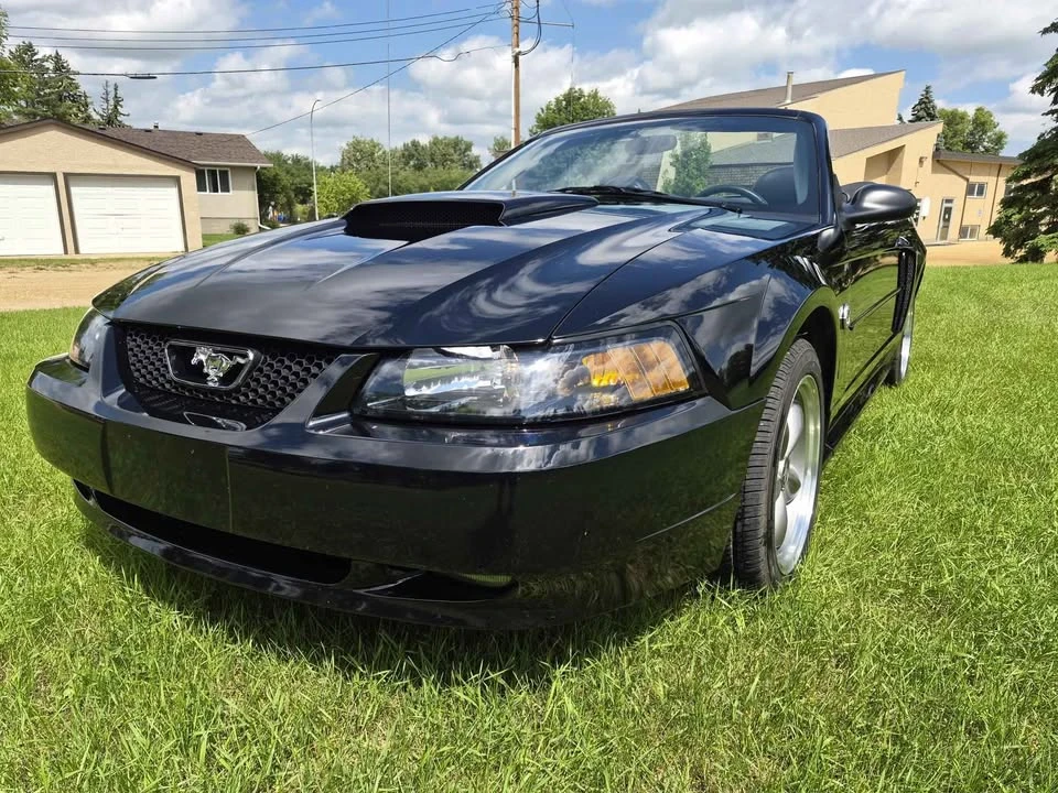 2004 Ford SN95 Mustang - Image 5 of 7