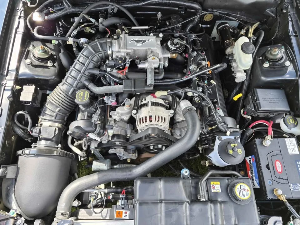 2004 Ford SN95 Mustang - Image 4 of 7