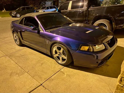 2004 Ford Mustang Mystichrome Cobra Terminator