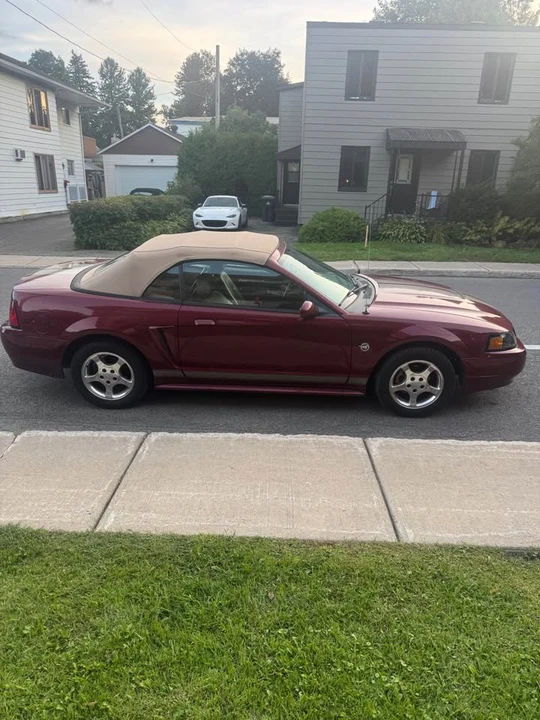2004 Ford SN95 Mustang - Image 4 of 10