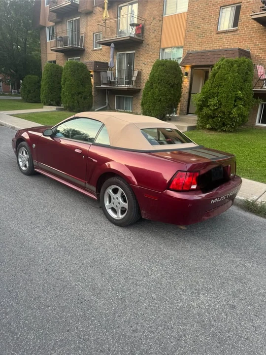 2004 Ford SN95 Mustang - Image 7 of 10