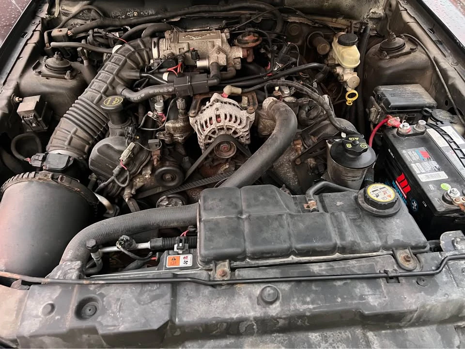2004 Ford SN95 Mustang - Image 10 of 10