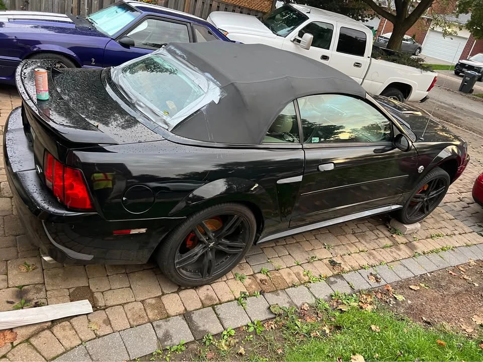 2004 Ford SN95 Mustang - Image 2 of 10