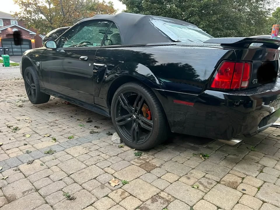 2004 Ford SN95 Mustang - Image 5 of 10