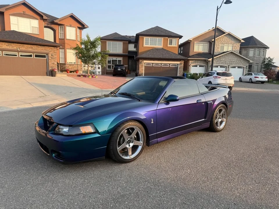 2004 Ford SN95 Mustang - Image 3 of 6