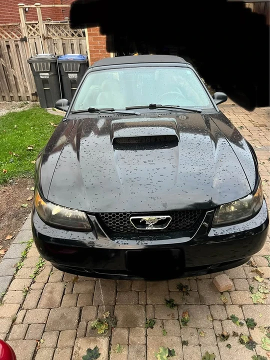 2004 Ford SN95 Mustang - Image 4 of 10
