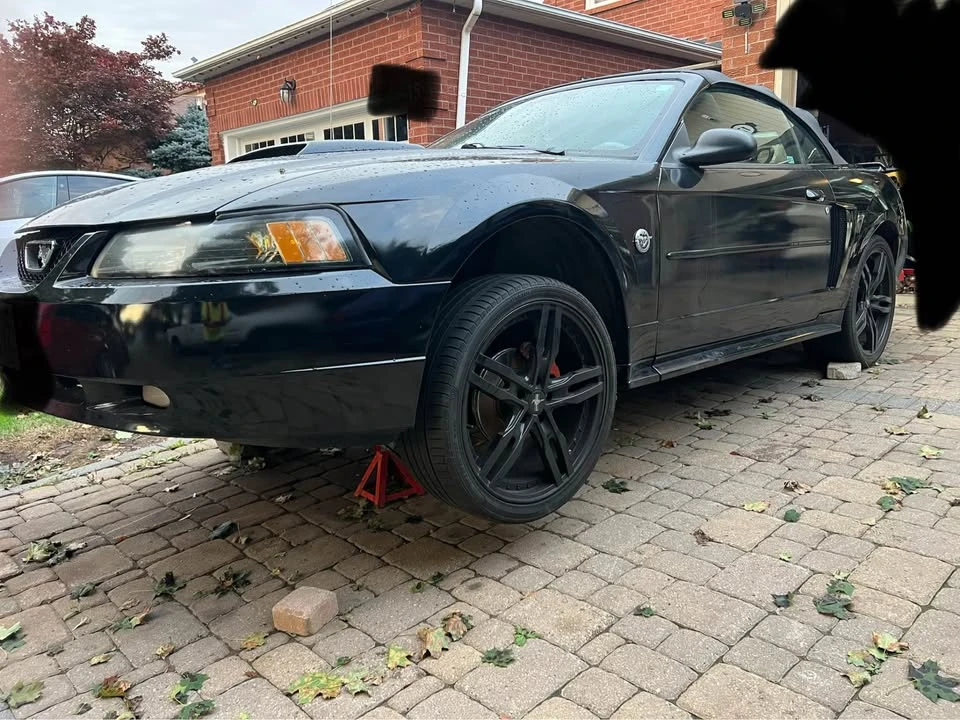 2004 Ford SN95 Mustang - Image 3 of 10