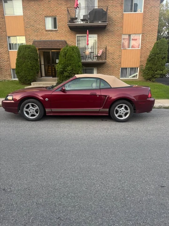 2004 Ford SN95 Mustang - Image 5 of 10