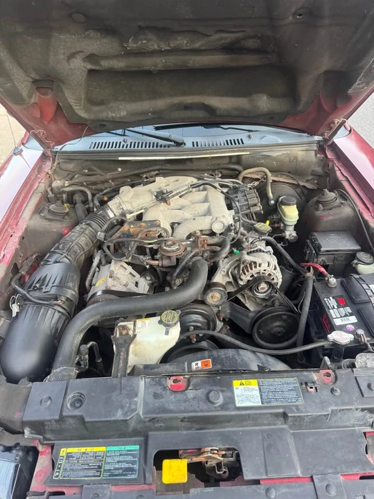 2004 Ford SN95 Mustang - Image 10 of 10